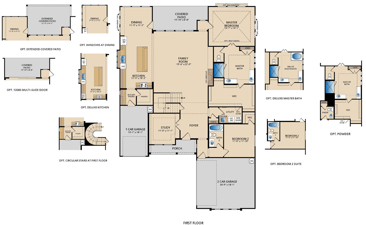 Driscoll First Floor